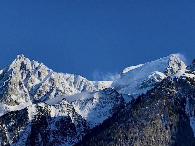 Chalet Amour Blanc Chamonix เลอุชส์ ภายนอก รูปภาพ