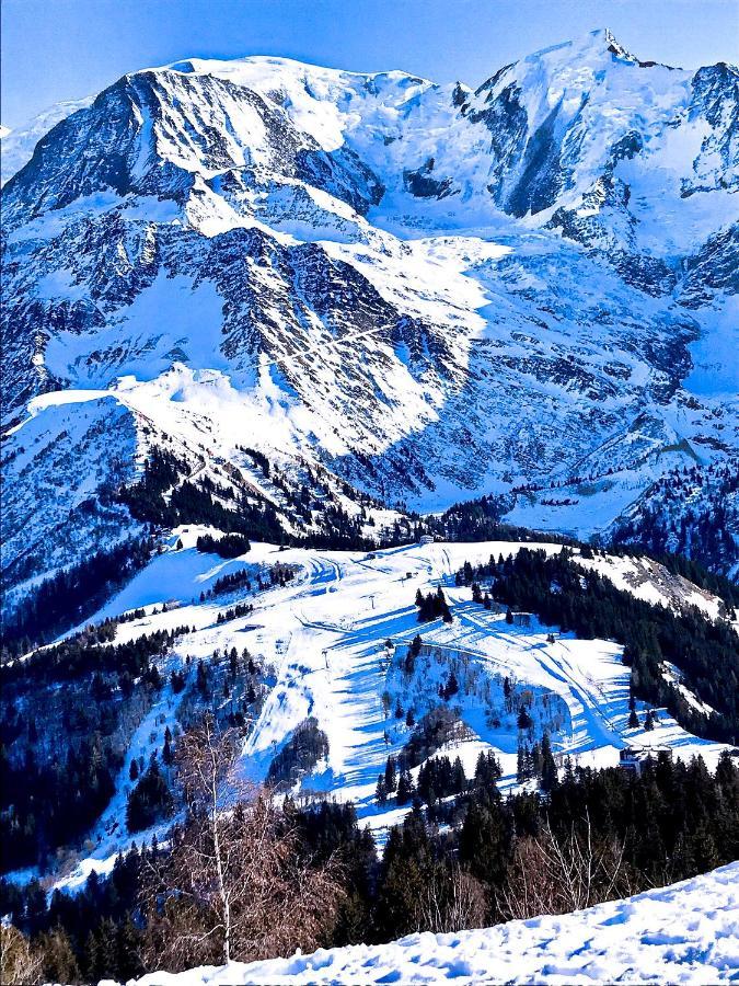Chalet Amour Blanc Chamonix เลอุชส์ ภายนอก รูปภาพ