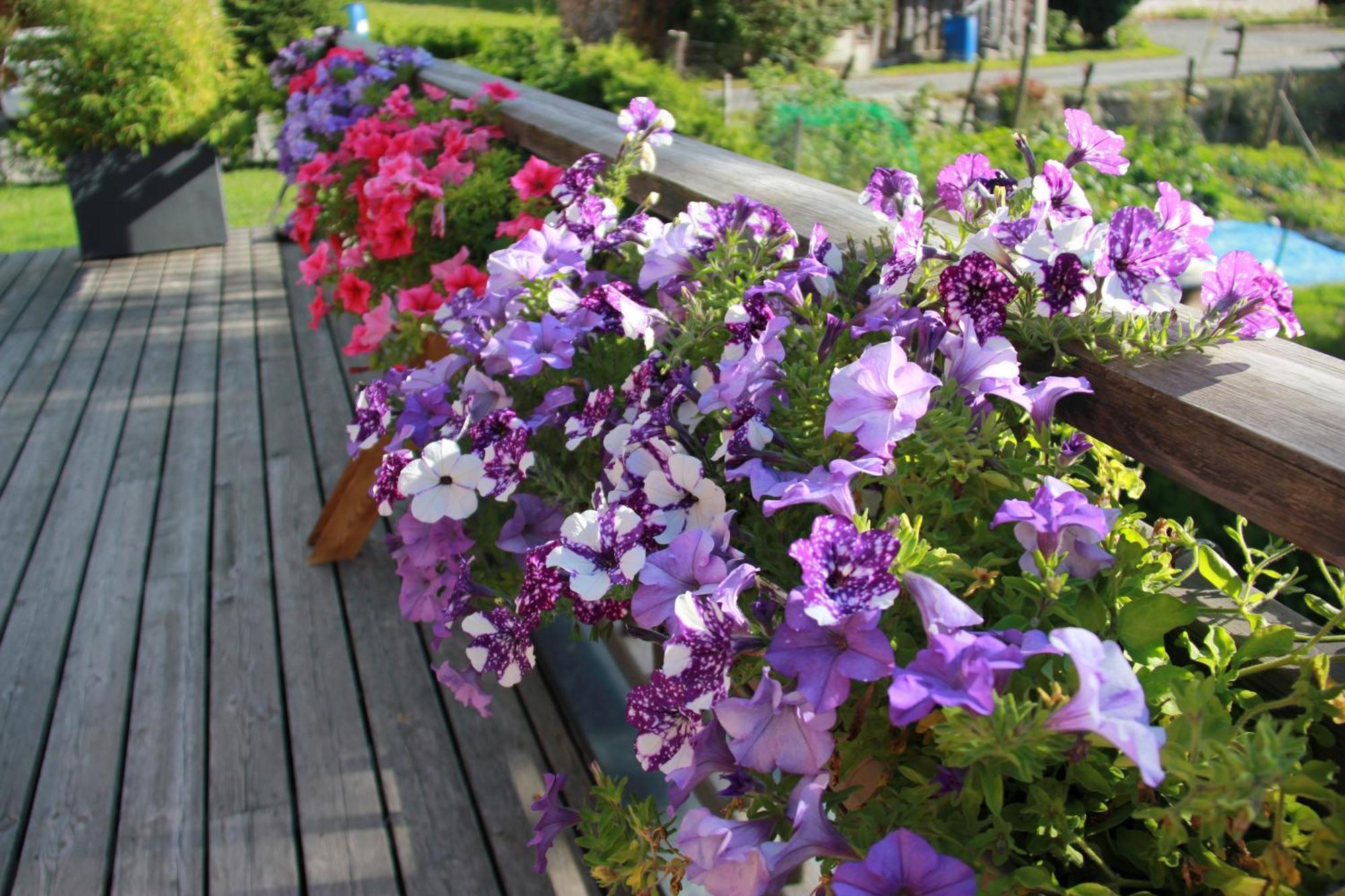 Chalet Amour Blanc Chamonix เลอุชส์ ภายนอก รูปภาพ